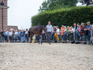 PN030825-130 - Len